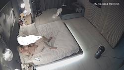 Click image for larger version. 

Name:	1236.mp4_snapshot_22.57_[2024.05.02_08.39.01].jpg 
Views:	1809 
Size:	97.3 KB 
ID:	9448