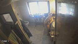 Click image for larger version. 

Name:	832.mp4_snapshot_03.12_[2024.05.08_06.09.40].jpg 
Views:	543 
Size:	75.8 KB 
ID:	9469