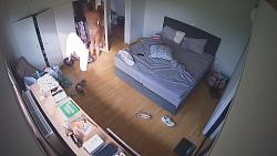 Click image for larger version. 

Name:	1252.mp4_snapshot_03.40_[2024.06.14_07.42.37].jpg 
Views:	692 
Size:	89.1 KB 
ID:	9602