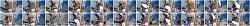 Click image for larger version. 

Name:	555.jpg 
Views:	803 
Size:	122.4 KB 
ID:	9765