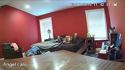 Click image for larger version. 

Name:	4.mp4_snapshot_00.24_[2018.04.02_21.28.31].jpg 
Views:	22210 
Size:	79.9 KB 
ID:	99