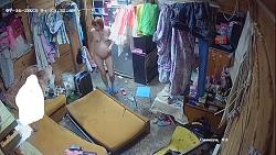Click image for larger version. 

Name:	1288.mp4_snapshot_00.32_[2024.09.15_07.45.48].jpg 
Views:	823 
Size:	102.1 KB 
ID:	9983