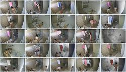 Click image for larger version.
Name: 555.jpg
Views: 1930
Size: 100.2 KB
ID: 9635