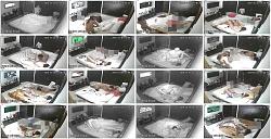 Click image for larger version.
Name: 555.jpg
Views: 3735
Size: 105.4 KB
ID: 3738