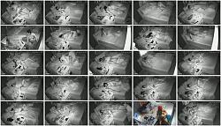 Click image for larger version.
Name: 555.jpg
Views: 2359
Size: 105.3 KB
ID: 4268