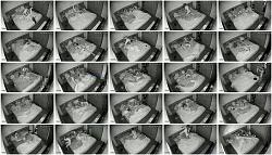 Click image for larger version.
Name: 555.jpg
Views: 2296
Size: 104.8 KB
ID: 4477