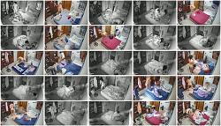 Click image for larger version.
Name: 555.jpg
Views: 2079
Size: 106.1 KB
ID: 4075