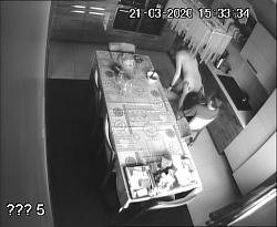 Click image for larger version. 

Name:	391.mp4_snapshot_05.20.046.jpg 
Views:	528 
Size:	64.4 KB 
ID:	5683