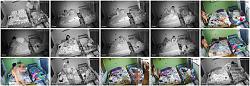 Click image for larger version.
Name: 555.jpg
Views: 22141
Size: 109.7 KB
ID: 5412